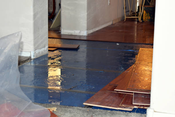 Professional Water Damage technician working in Hackberry, TX