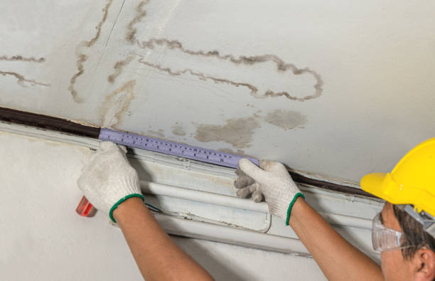 Reliable Water Damage contractor in Hackberry, TX by Water Damage Irwin
